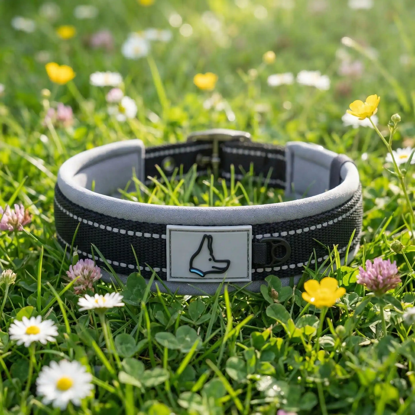 collier chien noir fleuri