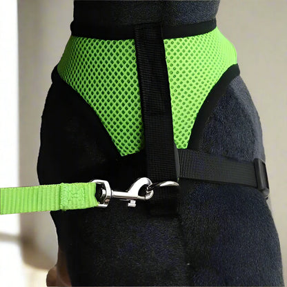 Harnais Petit Chien - DogHarnessLeadLeash™ - Vert