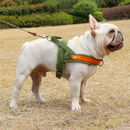 Bouledogue francais Harnais chien 