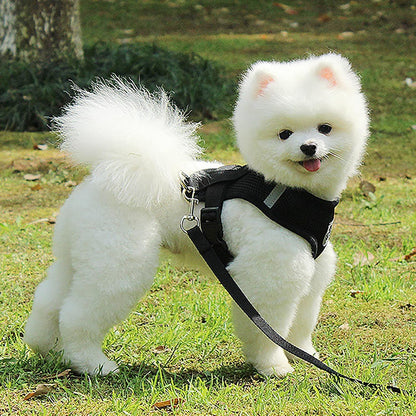 coton chien harnais anti traction noir