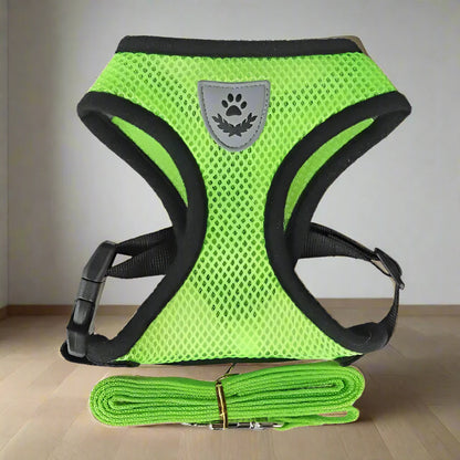 Harnais Petit Chien - DogHarnessLeadLeash™ - Vert