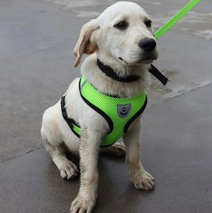 Harnais Petit Chien - DogHarnessLeadLeash™ - Vert