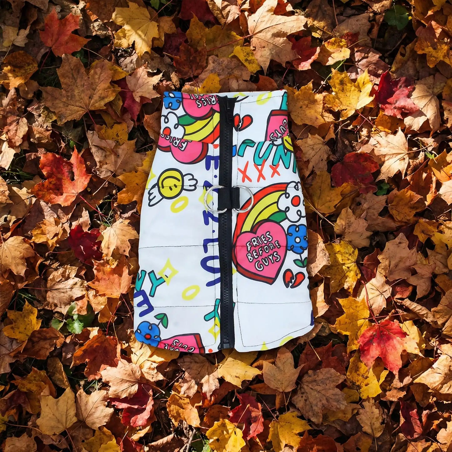 blanc chien manteau automne