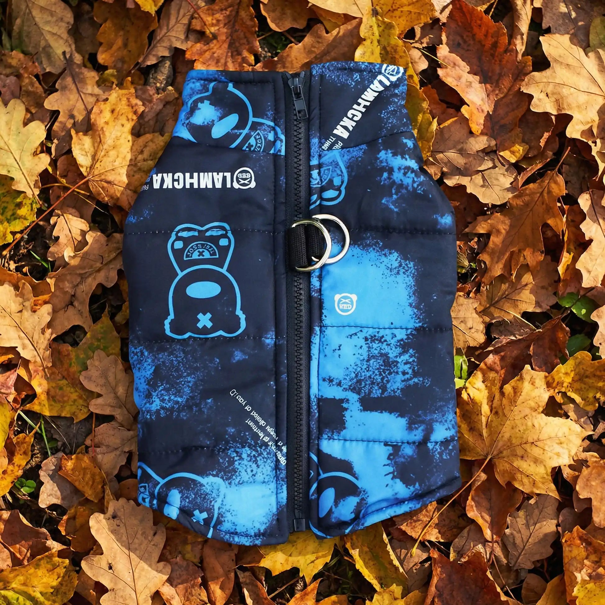 bleu chien manteau automne