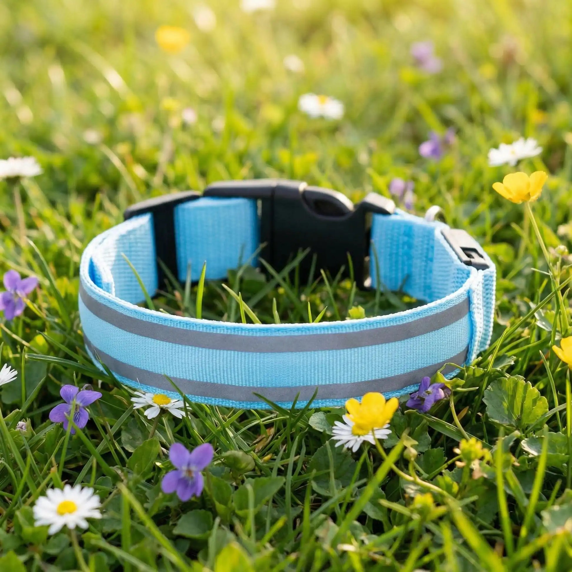 bleu collier pour chien lumineux 