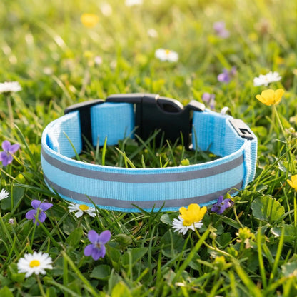bleu collier pour chien lumineux 