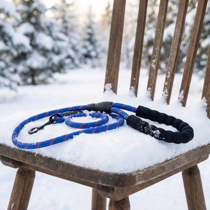 bleu laisse pour chien