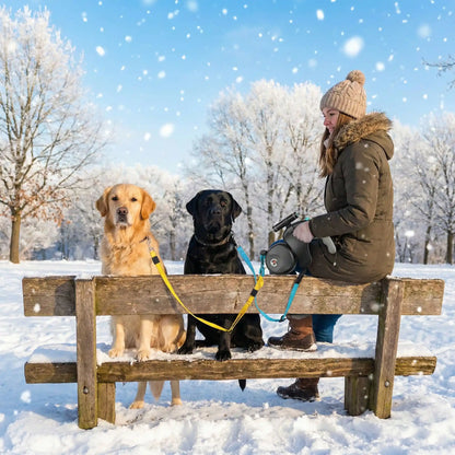 bois double laisse pour chien 
