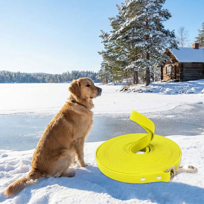 cabane longe pour chien