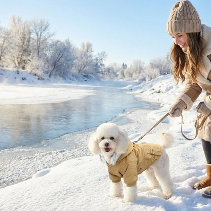 caniche blanc manteau pour chien 
