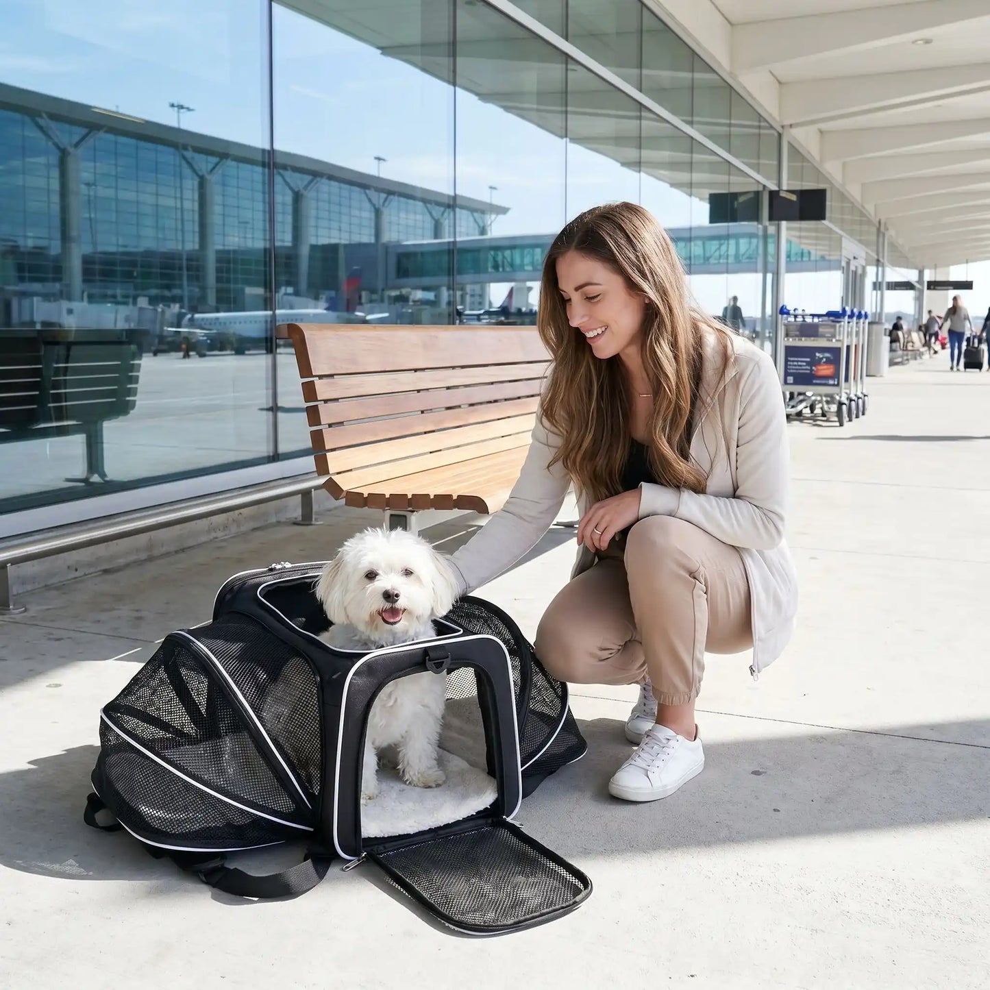 chien blanc sac transport pour chien