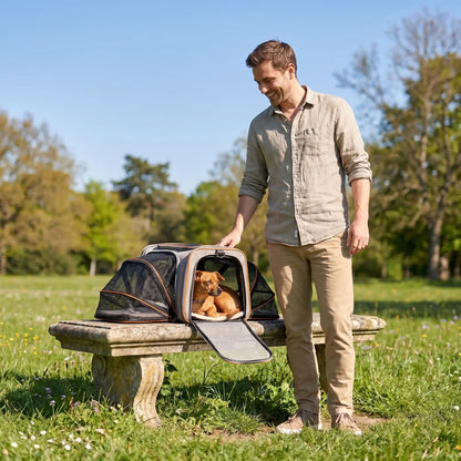 chien brun sac transport pour chien 