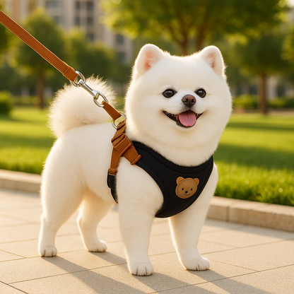 chien coton avec son harnais chien 