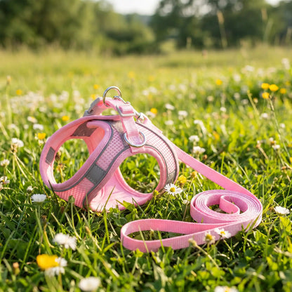 chien harnais anti traction laisse rose 