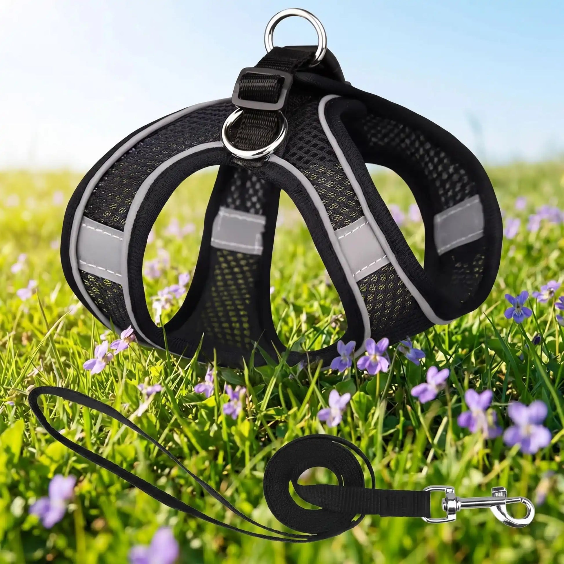 chien harnais anti traction laisse  