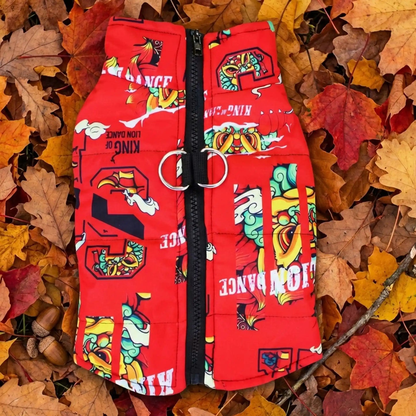 chien manteau automne rouge 