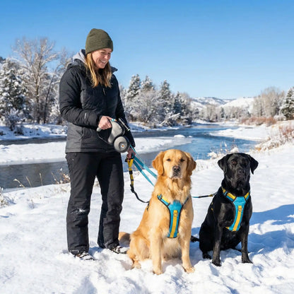 chiens assis double laisse pour chine 