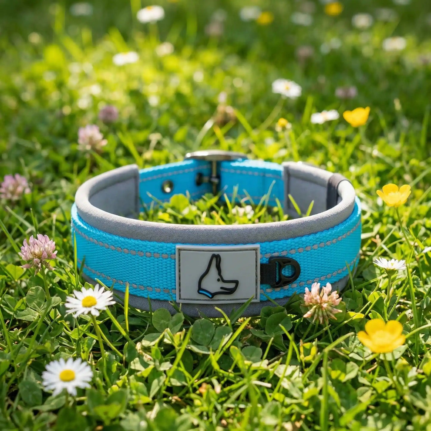 collier chien bleu fleuri 