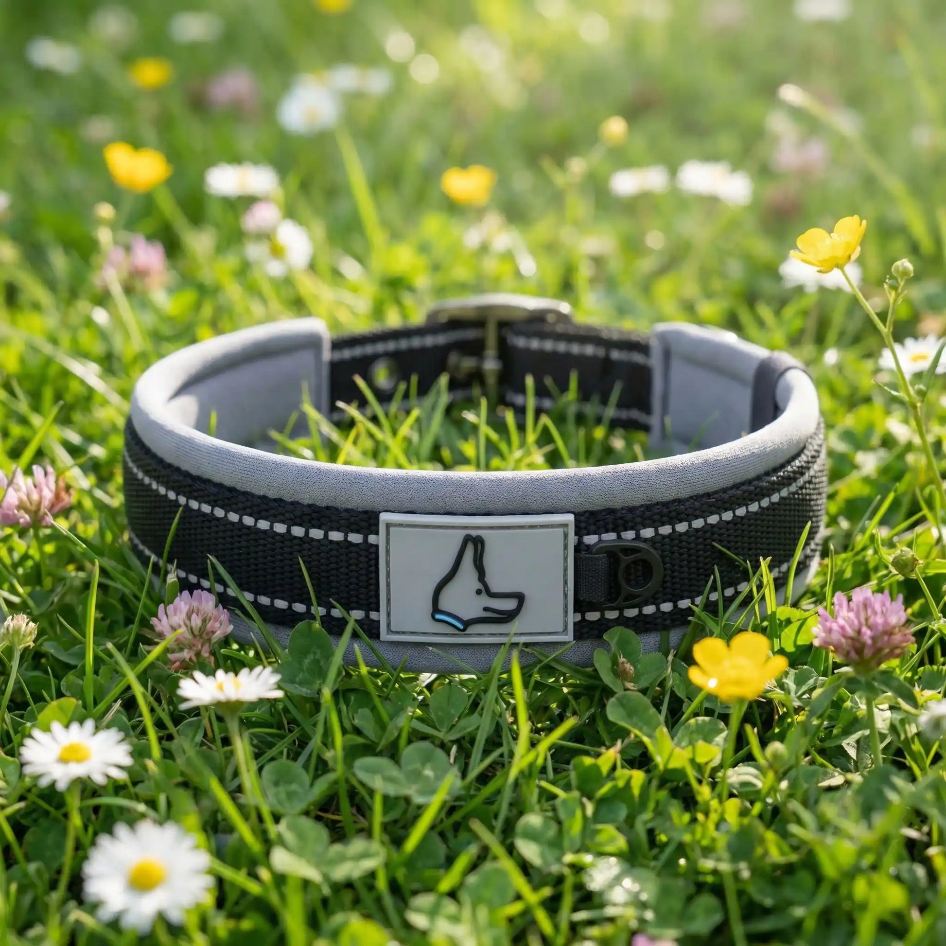 collier chien noir fleuri 