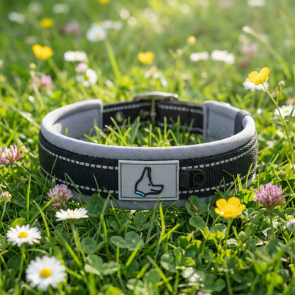 collier chien noir fleuri 