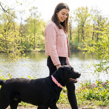 collier chien noir nature 
