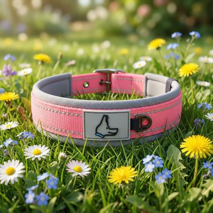 collier chien rose fleuri 