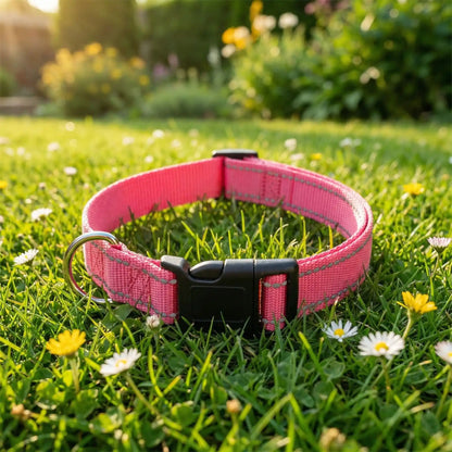 collier chien rose