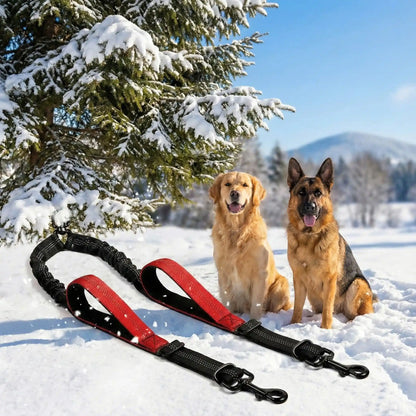 double laisse pour chien sapin 