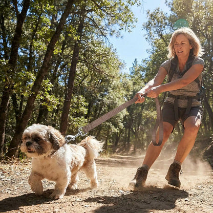 ennergique double laisse pour chien