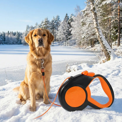 glace longe chien 