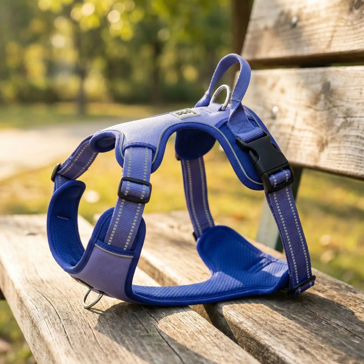 harnais pour chien bleu seul