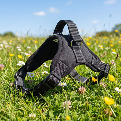harnais pour chien noir seul 