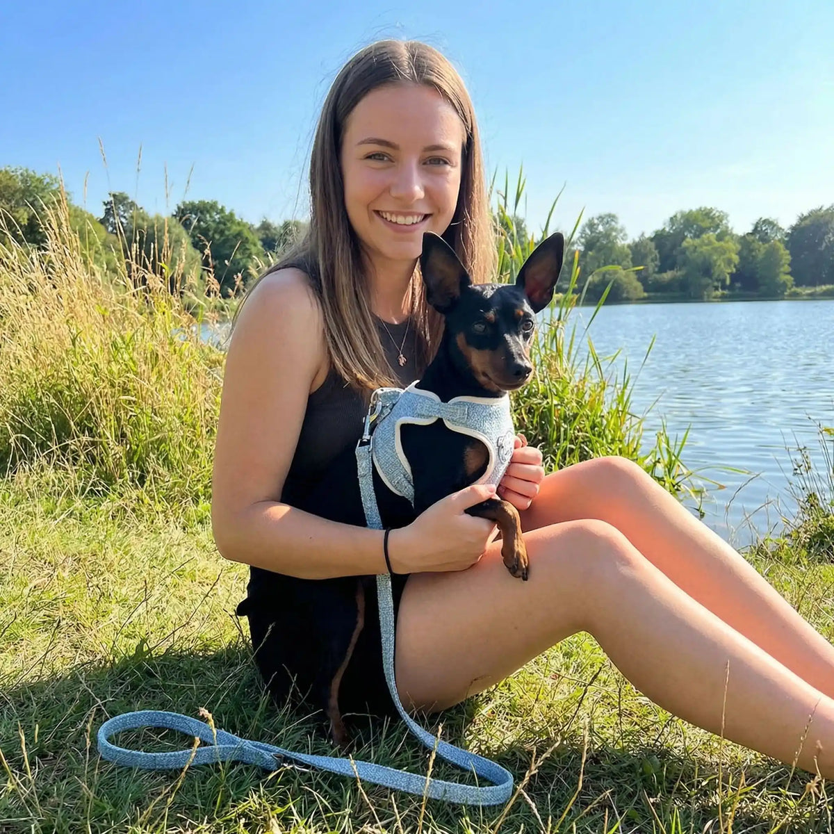  harnais pour chiens petit gabari