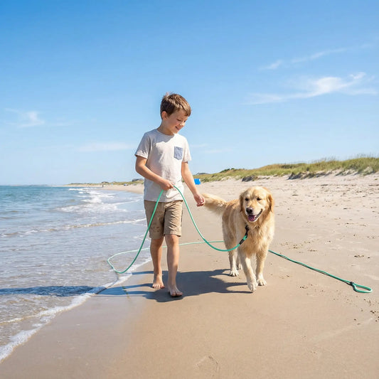 jeune garcon plage longe chien 