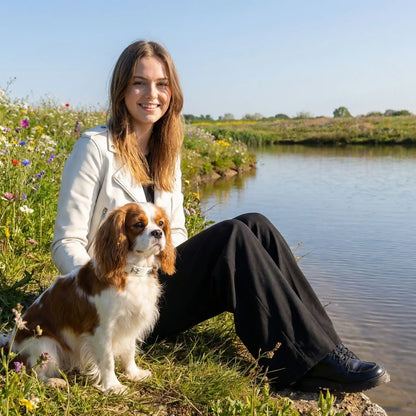 king charle collier pour chien 