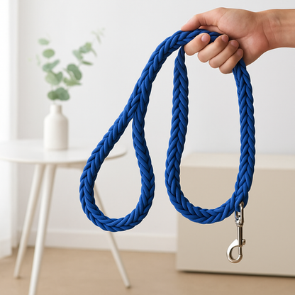 laisse chien bleue tresse