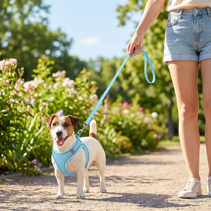 laisse chien harnais anti traction 