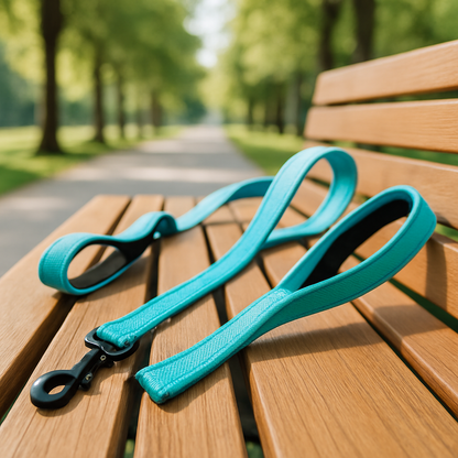 laisse de chien bleue