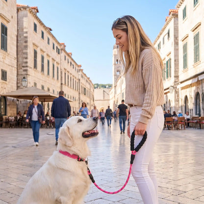 laisse pour chien golden retriever