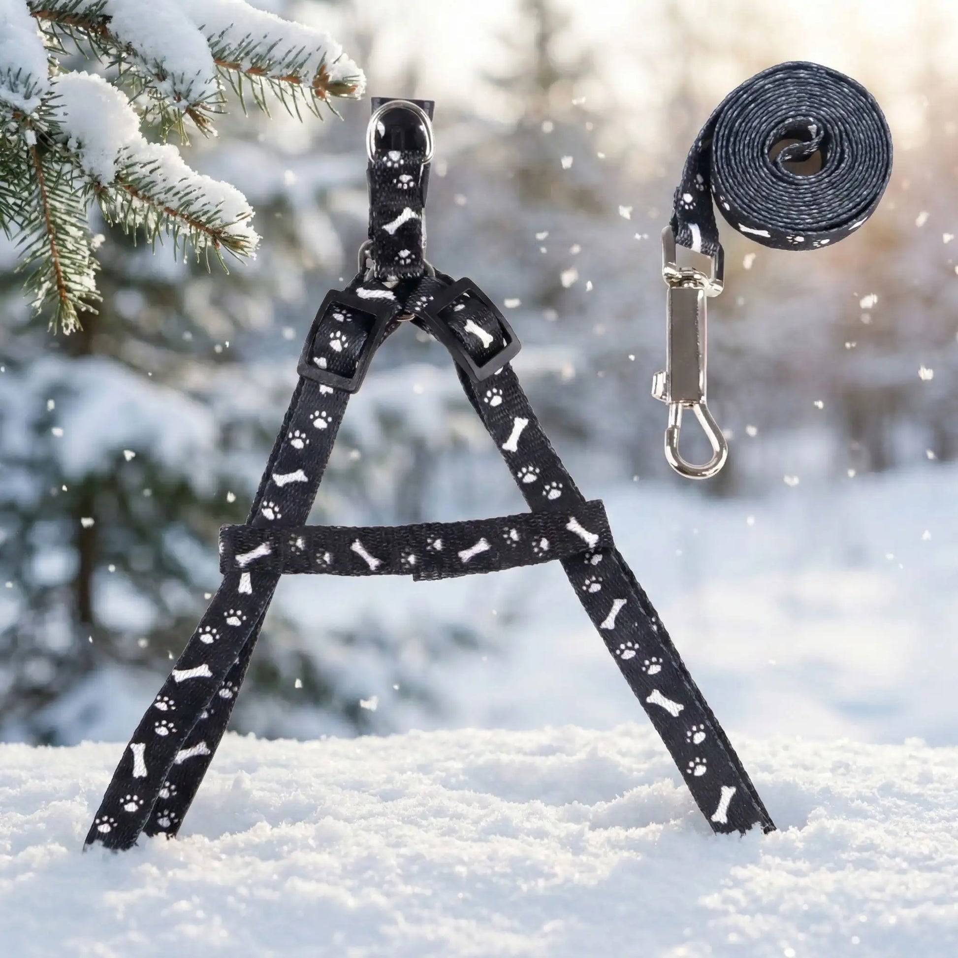 laisse pour chien noire seule