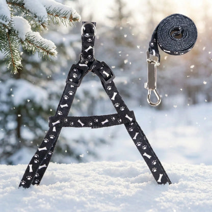 laisse pour chien noire seule