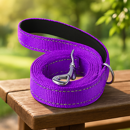 Laisse pour chien violette epaisse 