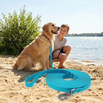longe chiens avec son maitre 