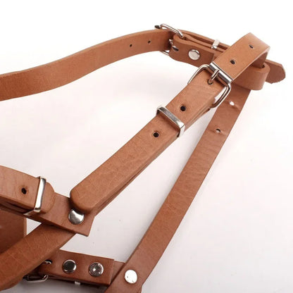 muselière chien - musprotection