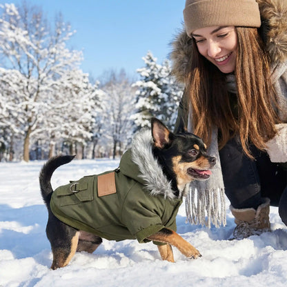 manteau pour chien jeune fille 