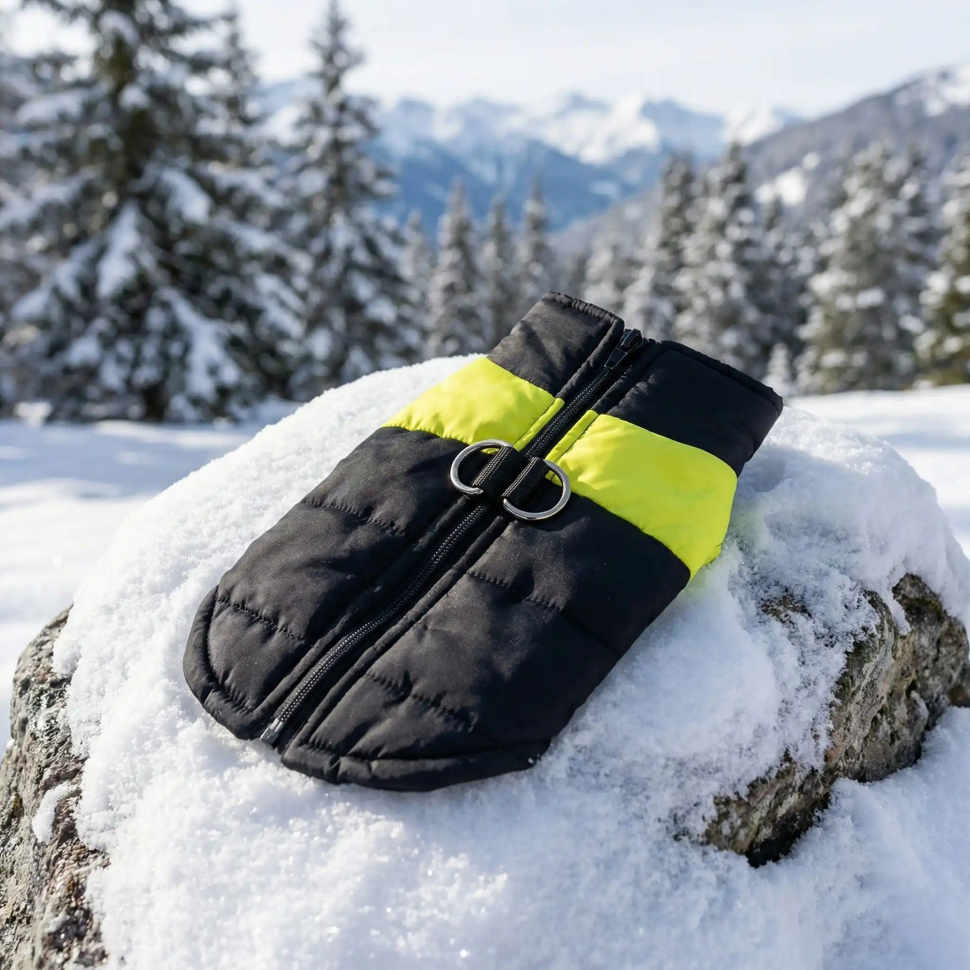 manteau pour chien noir jaune