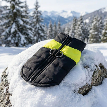 manteau pour chien noir jaune