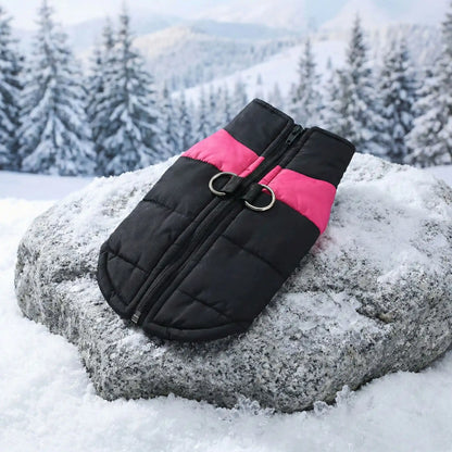 manteau pour chien noir rose