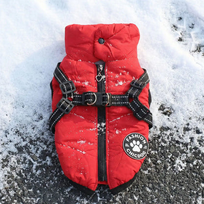 manteau pour chien rouge seul