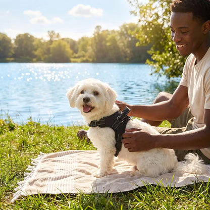 nature harnais pour chien lac